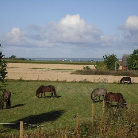 Lagenhet Lillisgarden Pensionat Vallåkra Eksteriør billede