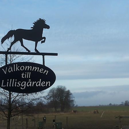 Laegenhet Lillisgarden Pensionat Vallåkra Eksteriør billede