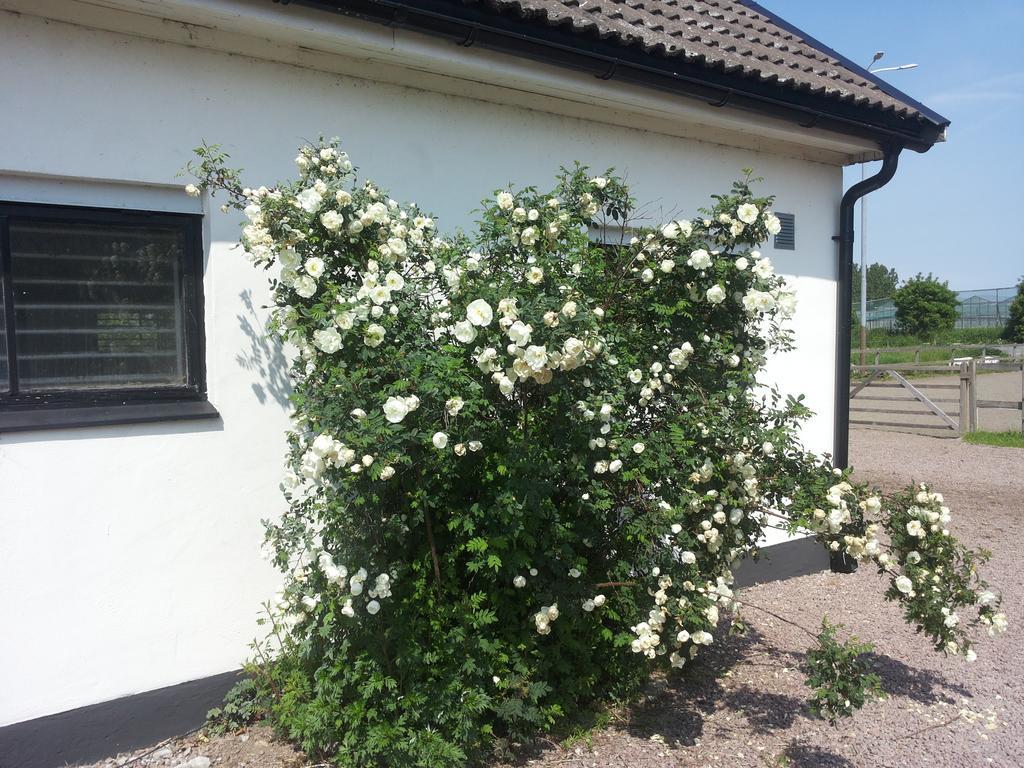 Laegenhet Lillisgarden Pensionat Vallåkra Eksteriør billede