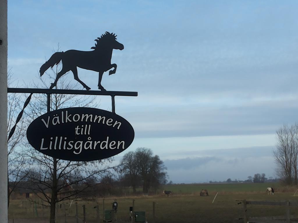 Laegenhet Lillisgarden Pensionat Vallåkra Eksteriør billede